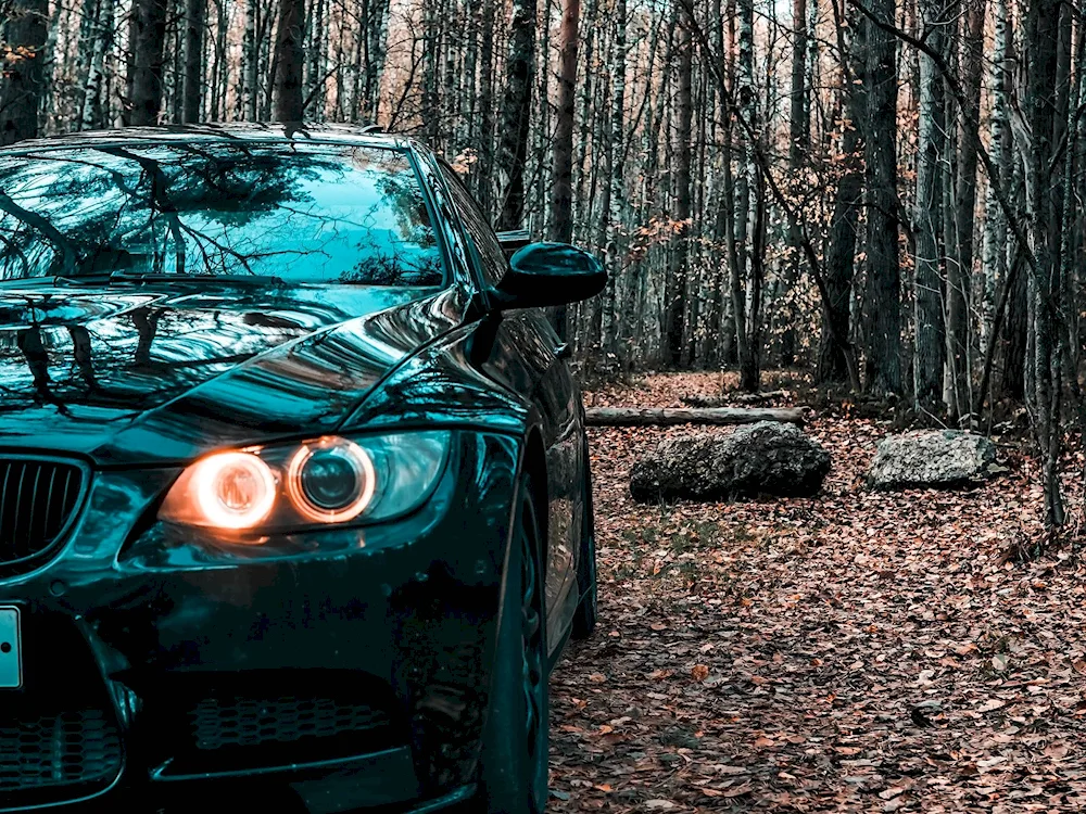 BMW e60 in the woods