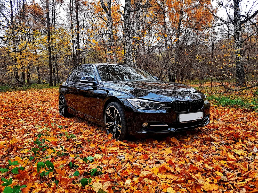 BMW m5 Autumn