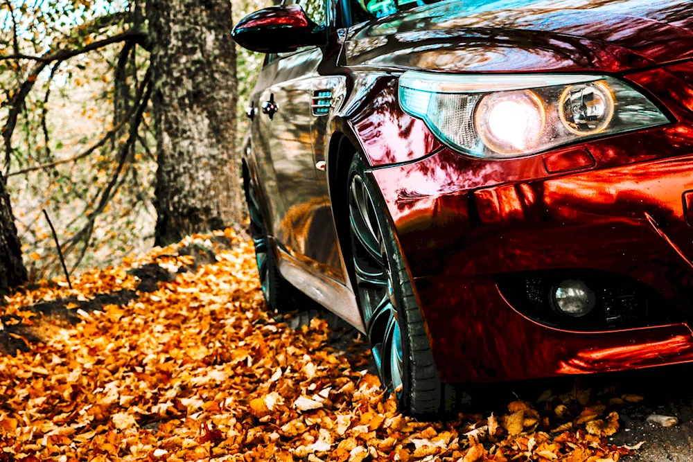 BMW autumn