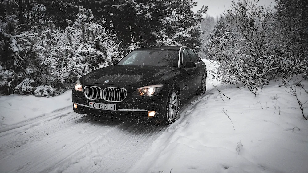 BMW winter