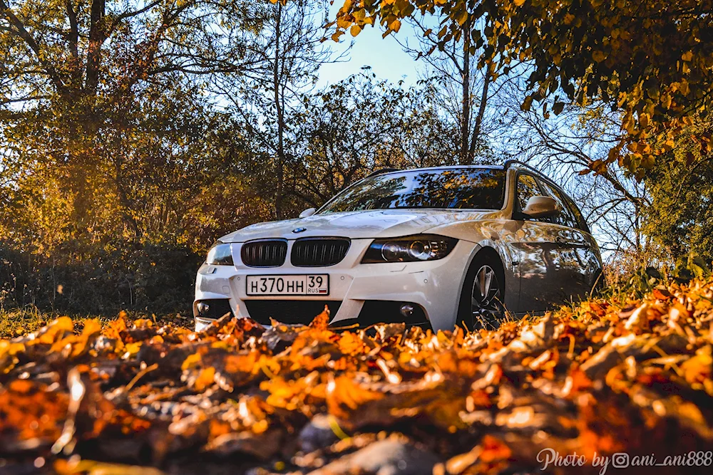 BMW 320i Autumn