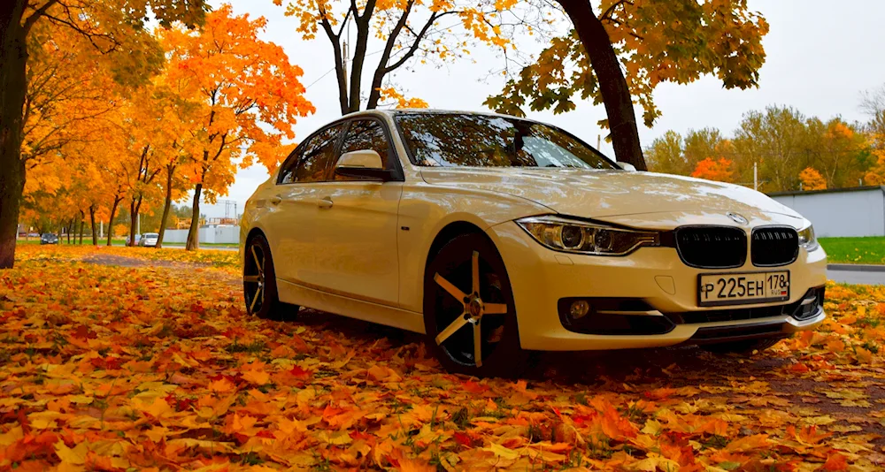 BMW 320i autumn