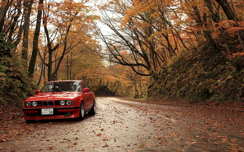 BMW e34 Autumn