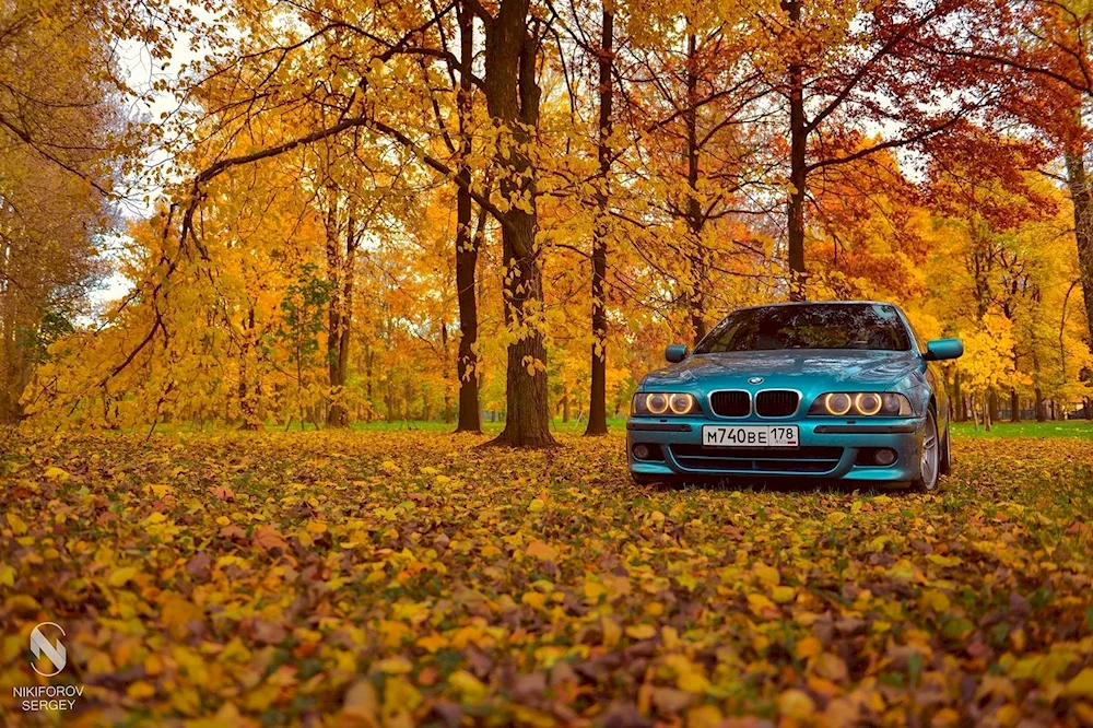 BMW e39 autumn