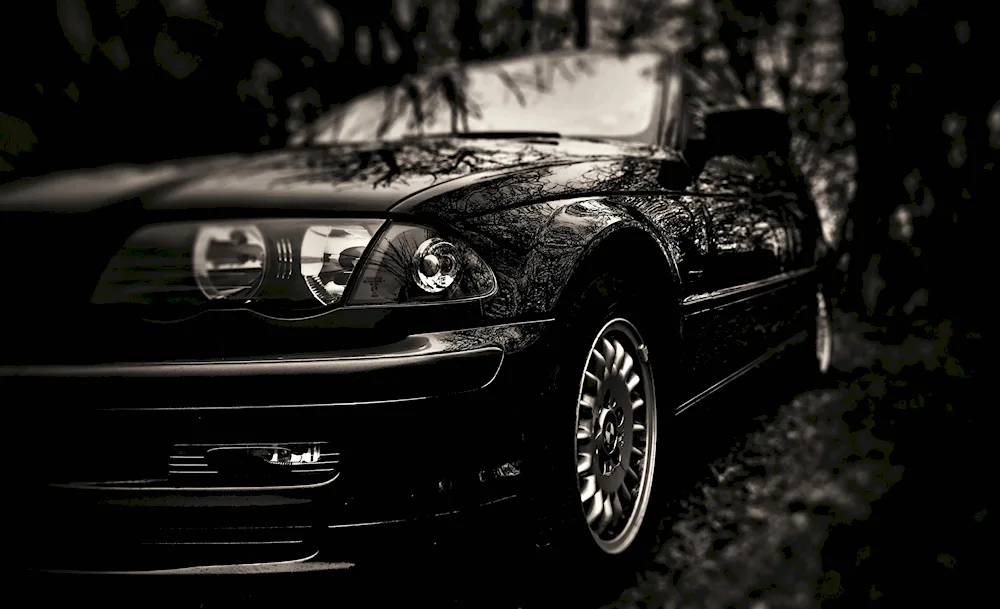 BMW e46 gangster