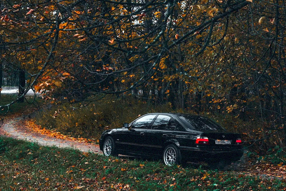 BMW e46 Autumn