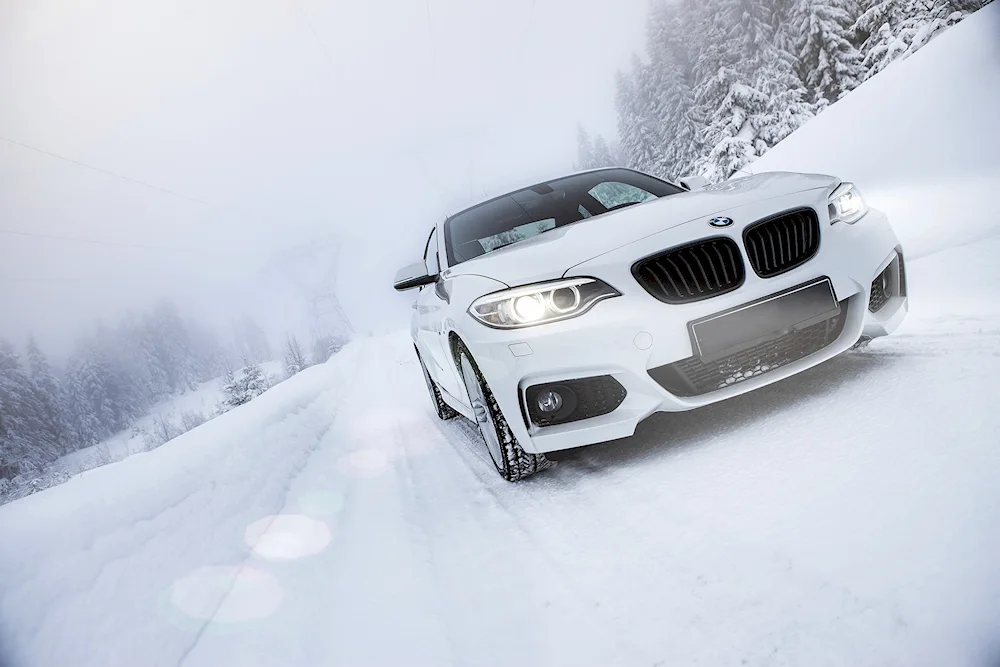 BMW f20 Winter