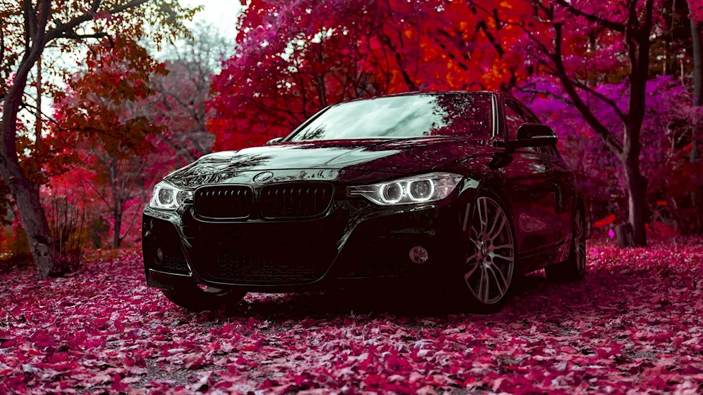 BMW f30