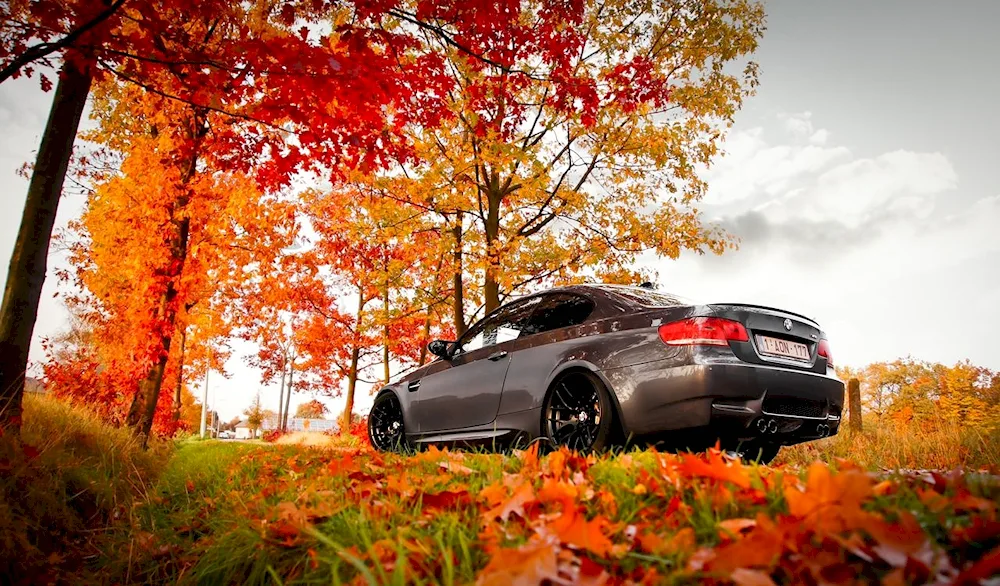 BMW f30 autumn