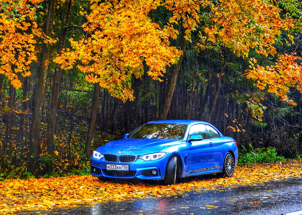 BMW f30 autumn