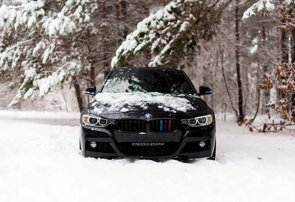 BMW f30 winter