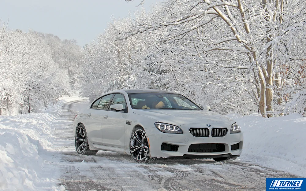 BMW f30 winter