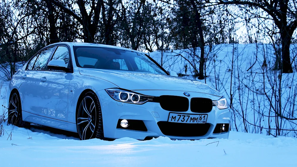 BMW f30 Winter