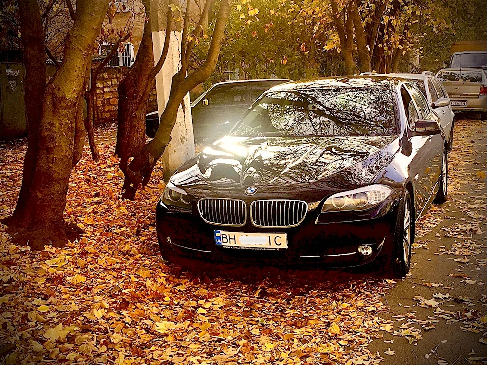 BMW autumn