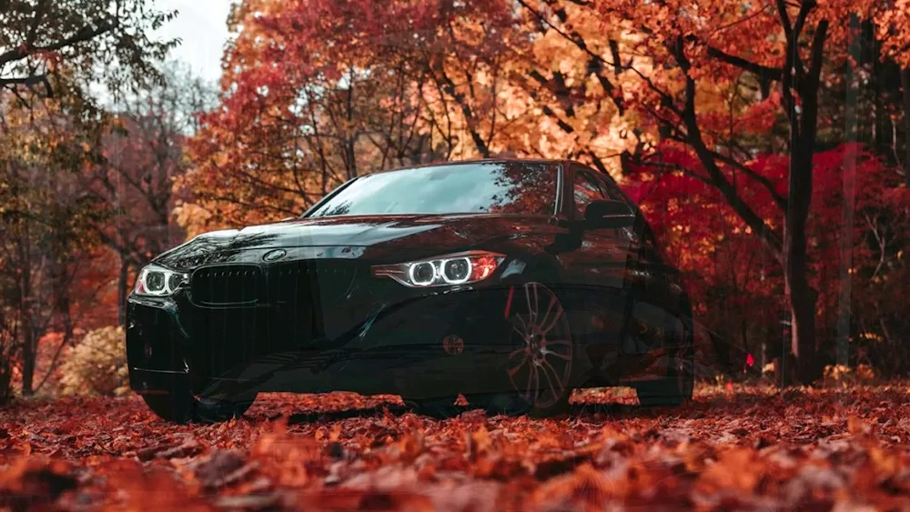 BMW autumn