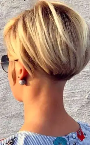 Pixie bob haircuts