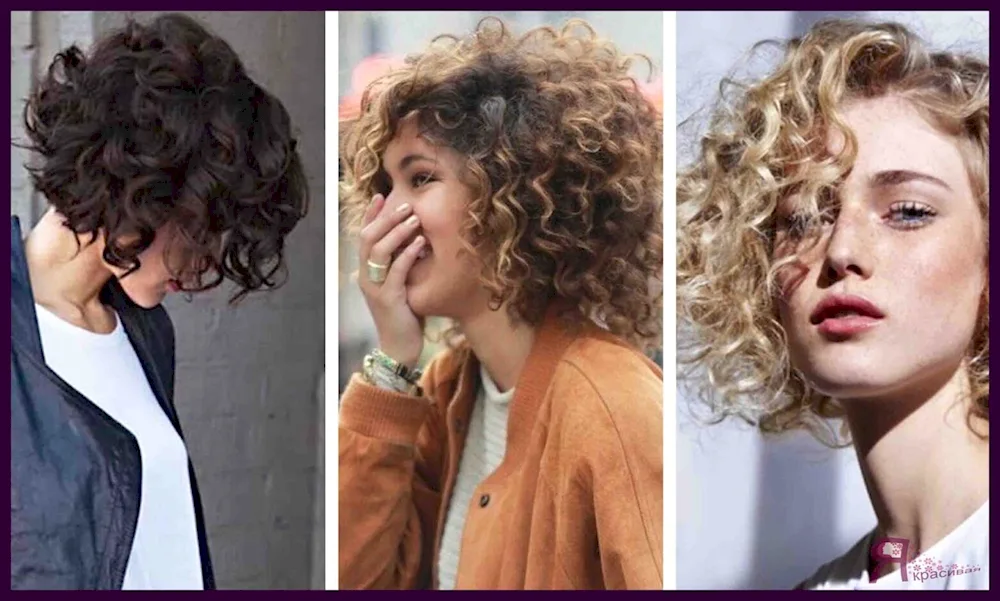 Bob curls Curly Sheg