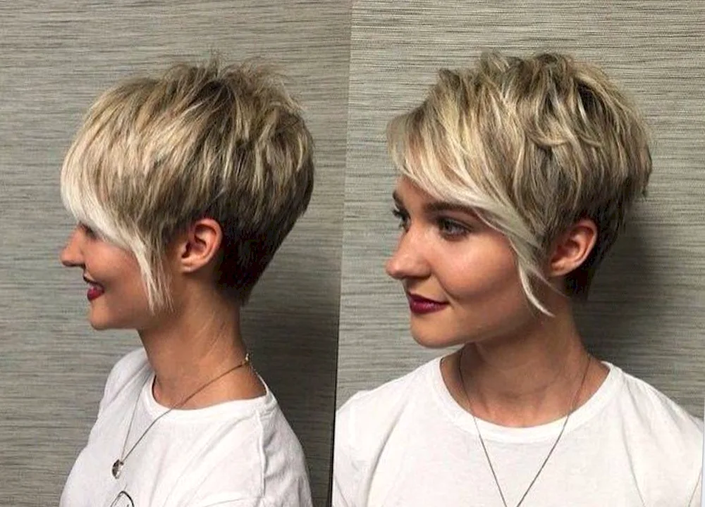 Garson Bob Pixie short haircut