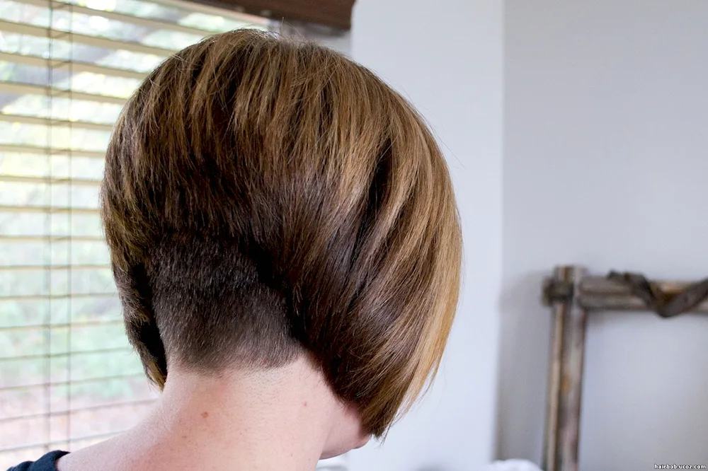 Bob Kaskad bob bob bob bob bob bob bob haircut