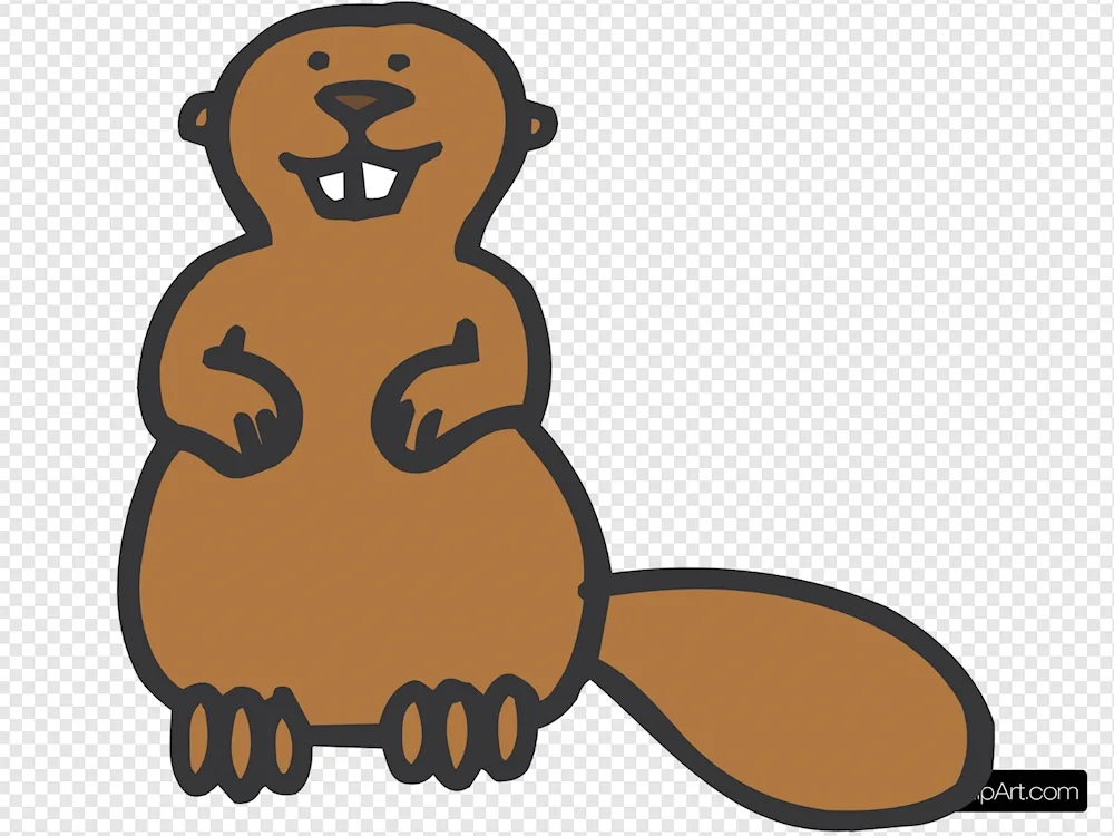 Beaver drawing