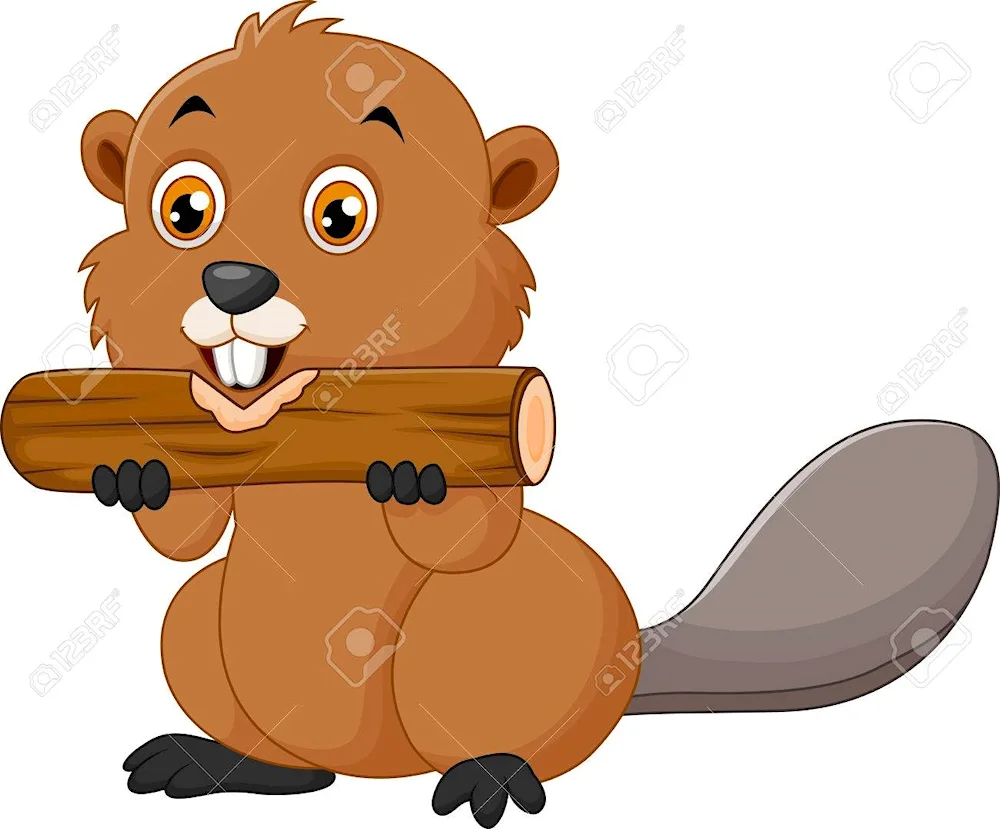 Beaver cartoon