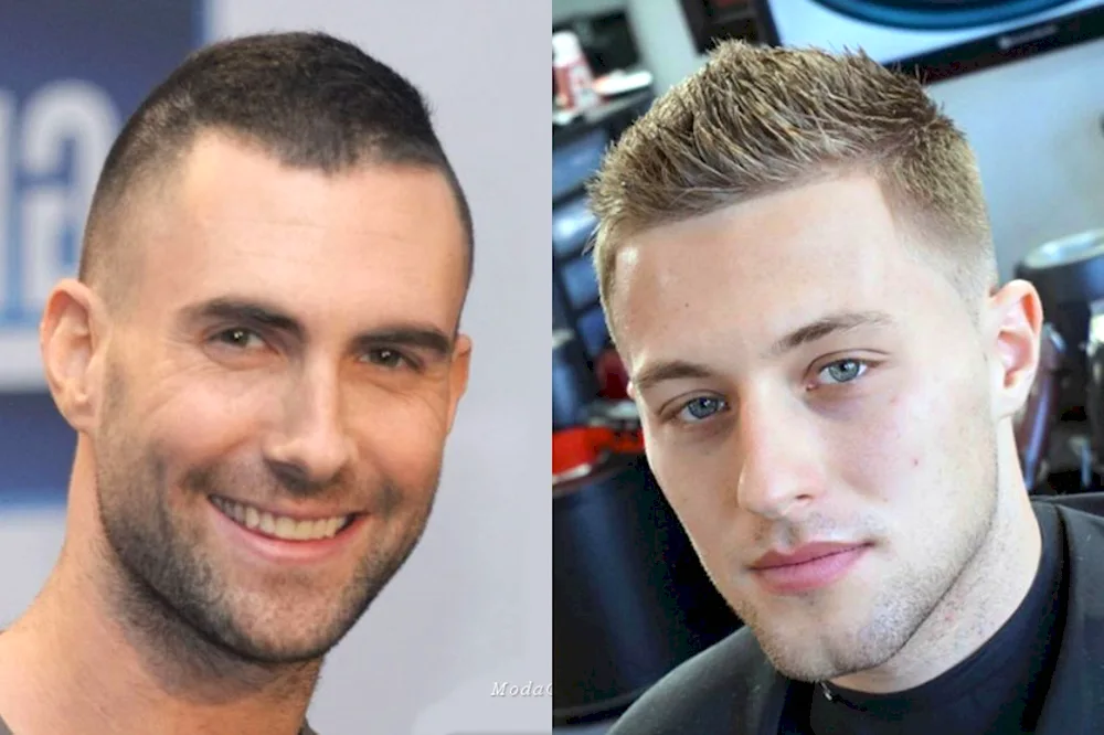Wentworth Miller haircut