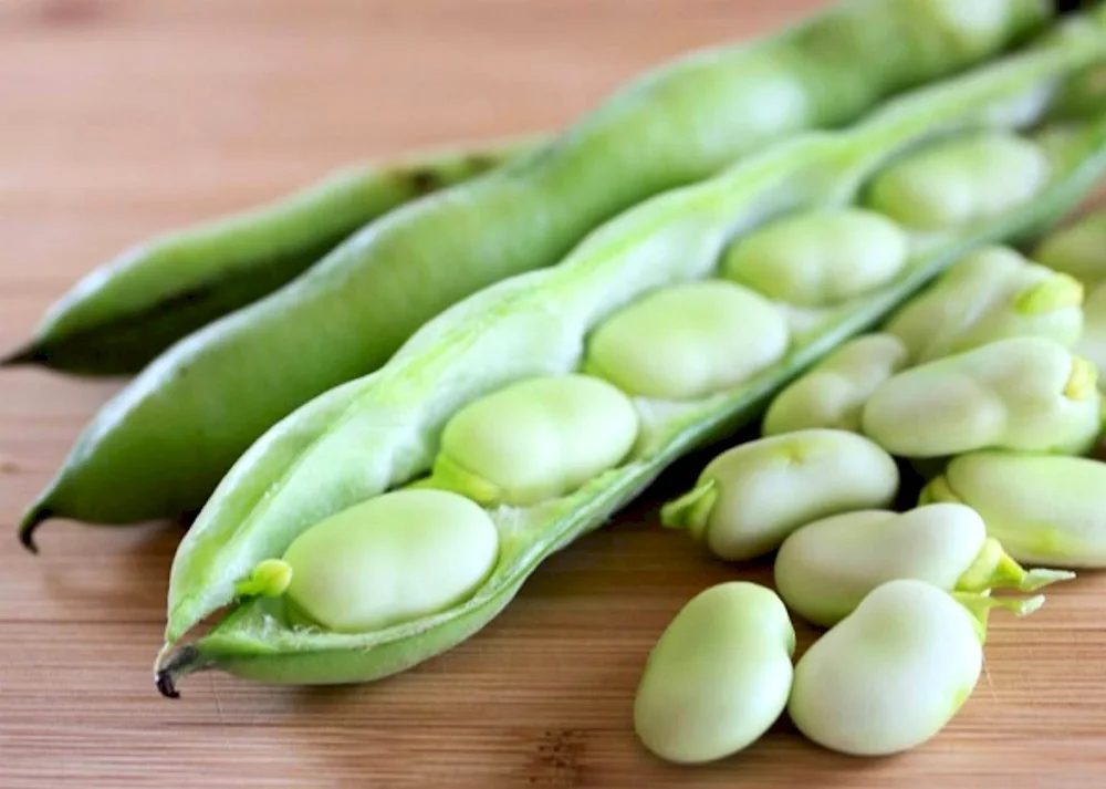 Vegetable ragweed peas