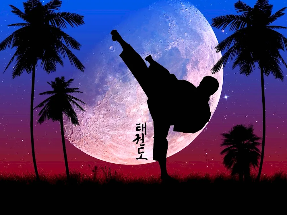 Karate wallpapers