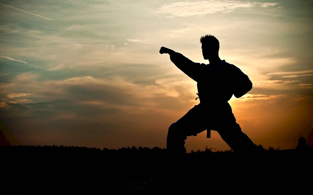 The martial art of taekwondo ITF