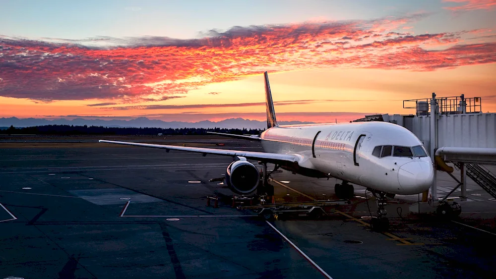 A plane on the airfield