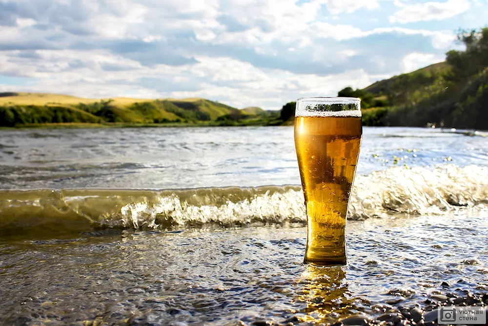 Beer mug