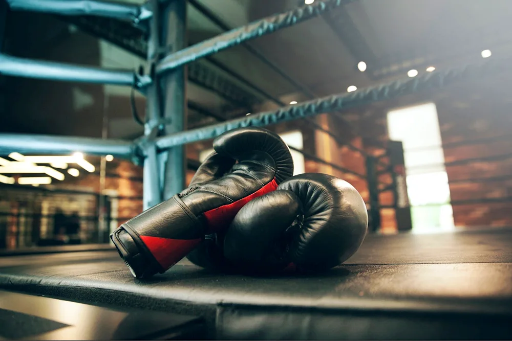 Boxer in gloves