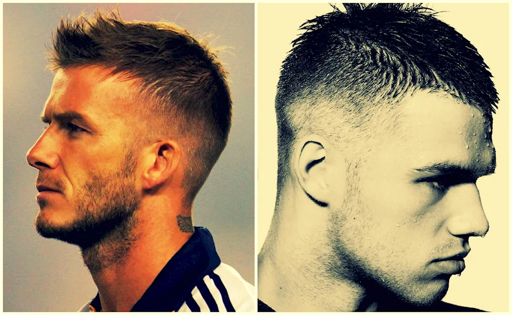 Barbershop half box haircut