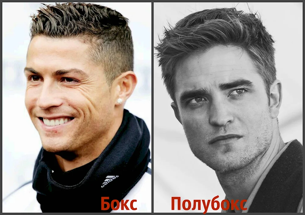 Box and half-box haircuts