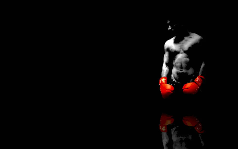 Boxer on a black background