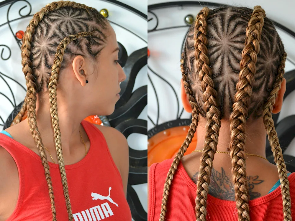 Boxer Braids