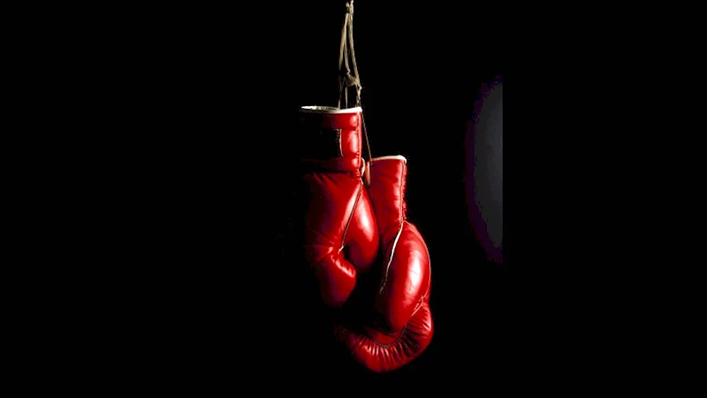 Boxing gloves