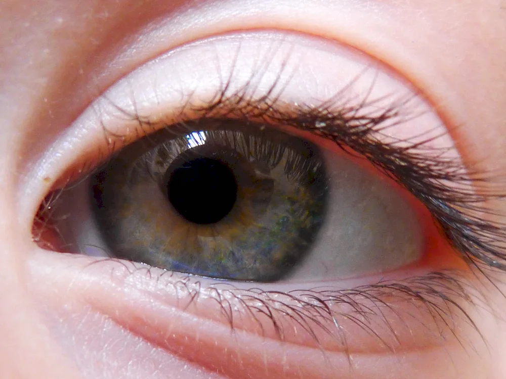Hazel green eye colour