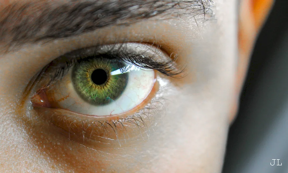 Hazel green eye colour
