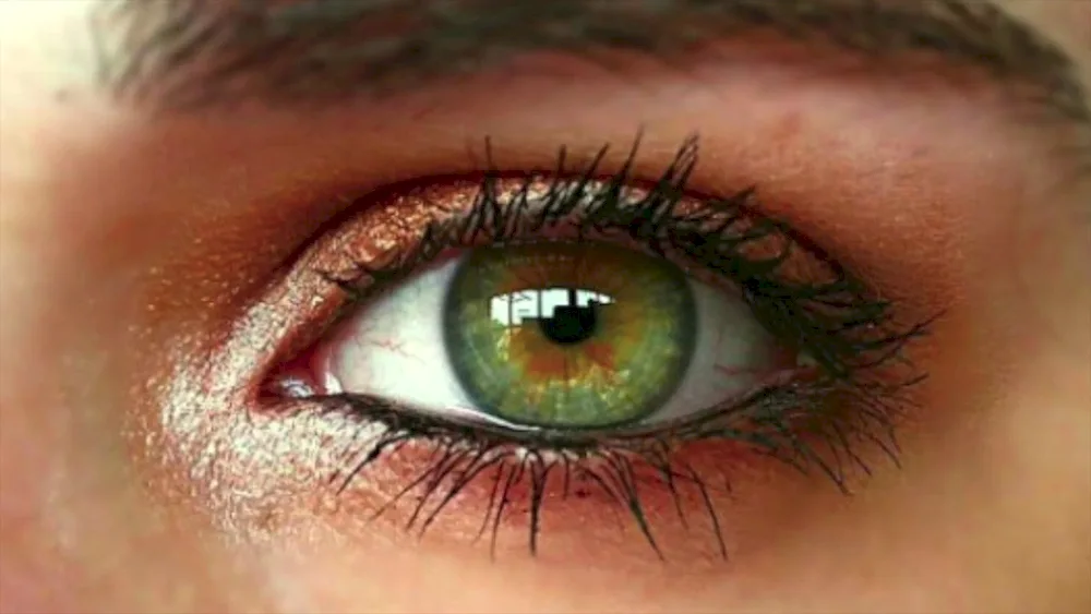 Human eye