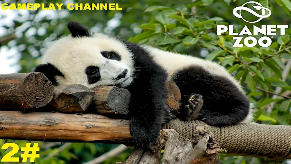 Sleeping Animals