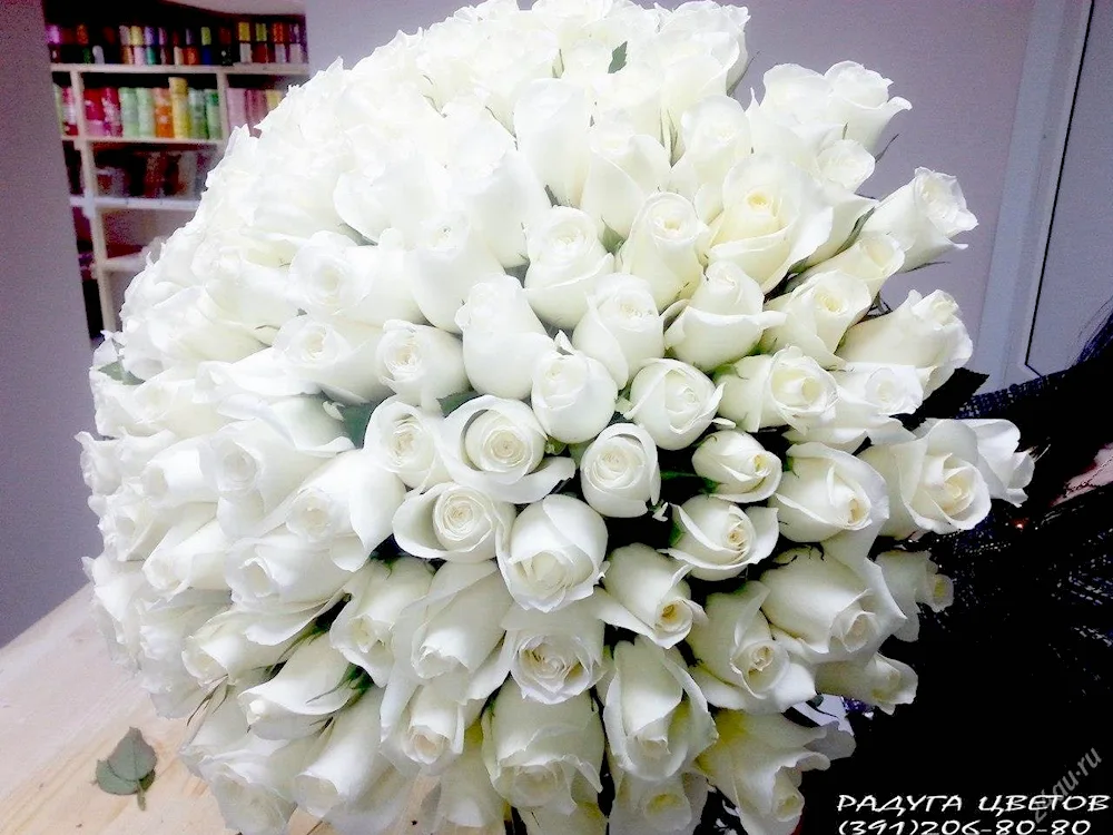 Large bouquets of white roses