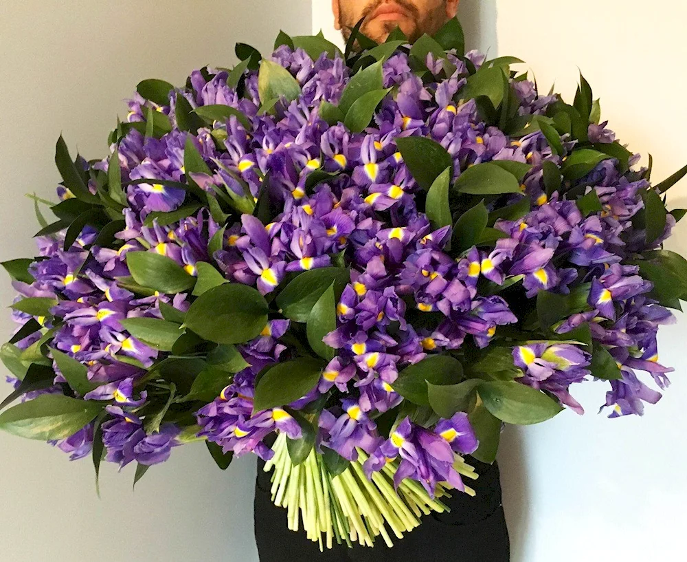 Iris Blue Magic bouquet