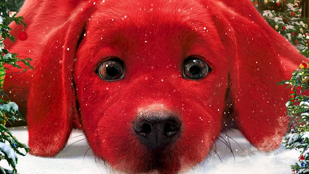 Big red dog Clifford film