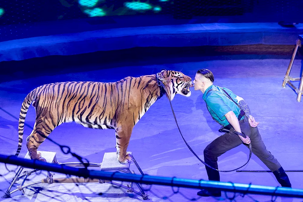 The Great Moscow Circus on Vernadsky Avenue is a terrible force