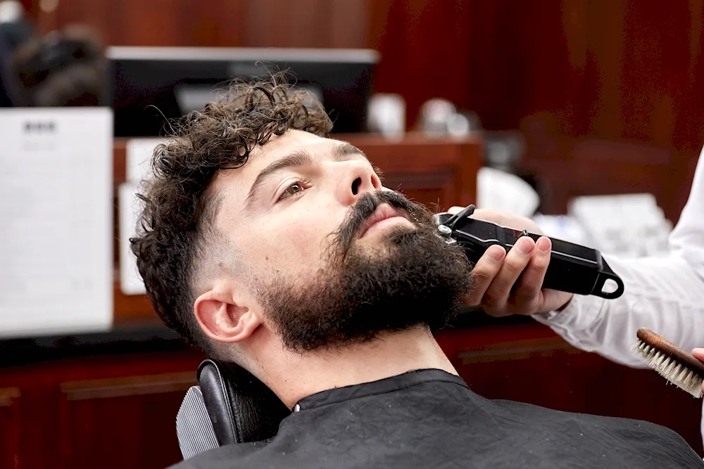Garibaldi beard