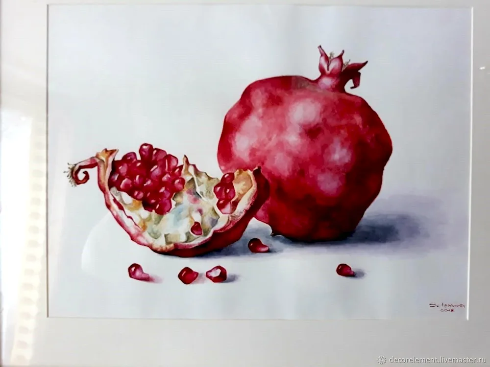 Botanical painting with watercolour pomegranate