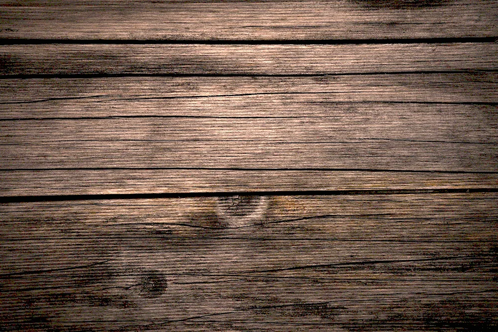 Texture wood