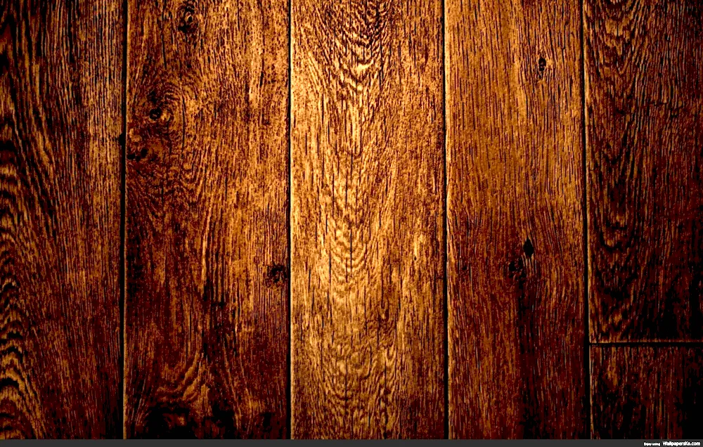 Wood background