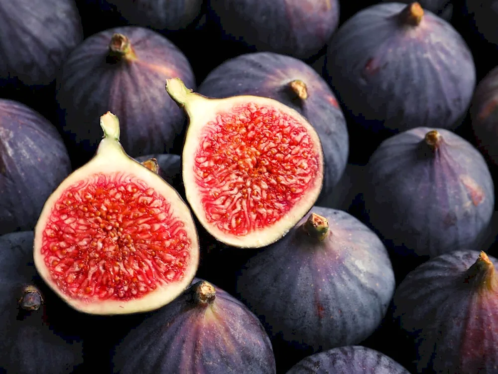 Succulent fruit